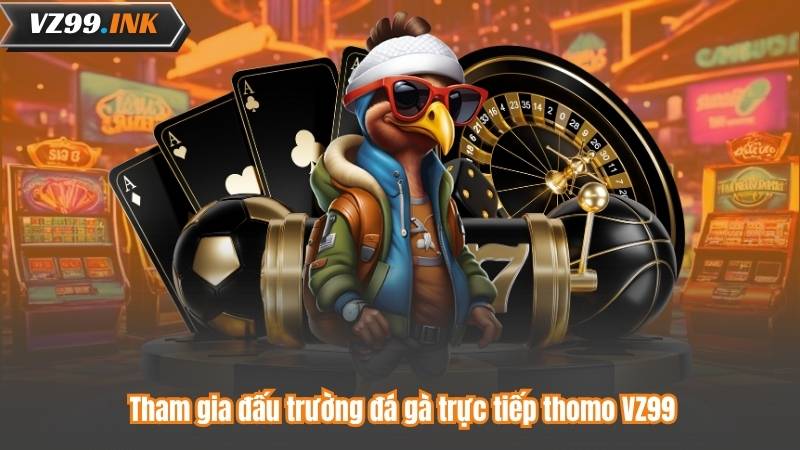 Tham gia đấu trường đá gà trực tiếp thomo VZ99